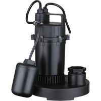 Thermoplastic Submersible Sump Pump, 2560 GPH, 115 V, 4.6 A, 1/3 HP Northern Industrial Supply Inc.
