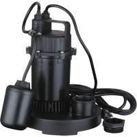 Thermoplastic Submersible Sump Pump, 2560 GPH, 115 V, 4.6 A, 1/3 HP Northern Industrial Supply Inc.