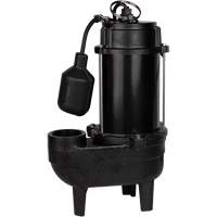 Cast Iron Sewage Pump, 120 V, 9.5 A, 6000 GPH, 1/2 HP Northern Industrial Supply Inc.