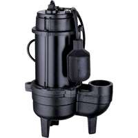 Cast Iron Sewage Pump, 120 V, 9.5 A, 6000 GPH, 1/2 HP Northern Industrial Supply Inc.