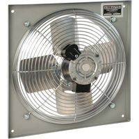 All Purpose Wall Fans, Commercial, 2 Speed, 10" Diameter Northern Industrial Supply Inc.