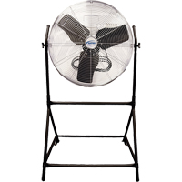 Pedestal Fans
