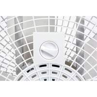 Box Fan, Commercial, 3 Speed, 20" Diameter Northern Industrial Supply Inc.