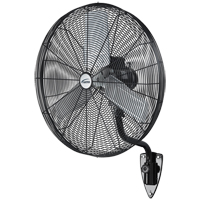 Wall-Mounted Fans