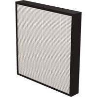 V&eacute;ritables filtres HEPA AeraMax Pro AM3 & AM4 2", Boîte, 13,75" la x 2,25" p x 14,38" h Northern Industrial Supply Inc.