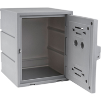 Locker, 15" x 15" x 18", Grey, Assembled Northern Industrial Supply Inc.