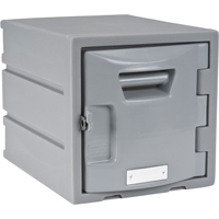 Locker, 12" x 15" x 12", Grey, Assembled Northern Industrial Supply Inc.