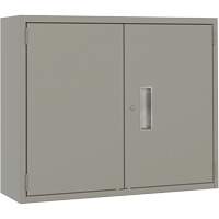 Armoire murale, Acier, 2 Tablettes, 30" h x 36" la x 12" P, Gris Northern Industrial Supply Inc.