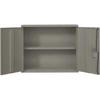 Armoire murale, Acier, 2 Tablettes, 30" h x 36" la x 12" P, Gris Northern Industrial Supply Inc.