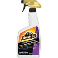 Multi-Purpose Cleaner, 473 ml, Trigger Bottle Northern Industrial Supply Inc.