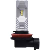 Ampoule pour feu avant H8, DEL, 12,8 W/9 W, Blanc Northern Industrial Supply Inc.