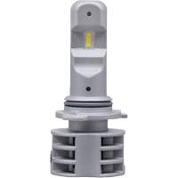 9006 Ampoule pour feu avant, DEL, 13,2 W/17 W, Blanc Northern Industrial Supply Inc.