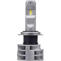 Ampoule pour feu avant H7, DEL, 13,2 W/17 W, Blanc Northern Industrial Supply Inc.