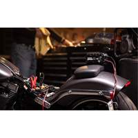 Genius&reg; 10 10-Amp Battery Charger Northern Industrial Supply Inc.