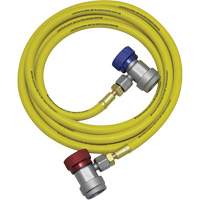 R134a A/C System Flush Hose Assembly Northern Industrial Supply Inc.