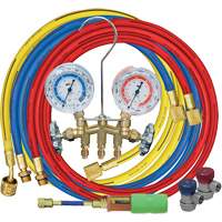 Manifold Gauge Set with Manual Couplers & Mini Dye Injector Northern Industrial Supply Inc.