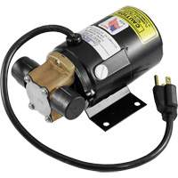 Low Profile Truck Drain with Electric Pump Northern Industrial Supply Inc.
