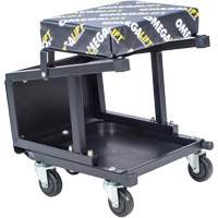 2-in-1 Seat-Stool Combo Northern Industrial Supply Inc.