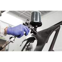 Performance Fine Finish Spray Gun System with PPS Cups, 13 CFM, 29 PSI Northern Industrial Supply Inc.