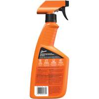 Nettoyant automobile tout usage, 16 oz/473 ml, Bouteille &agrave; g&acirc;chette Northern Industrial Supply Inc.