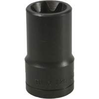 E-20 Torx&reg; Socket Northern Industrial Supply Inc.