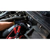 Pompette de purge de frein Brake-Pro &agrave; structure haute avec adaptateurs Northern Industrial Supply Inc.