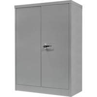 Counter-High Storage Cabinet, Steel, 2 Shelves, 42" H x 30" W x 15" D, Grey Northern Industrial Supply Inc.