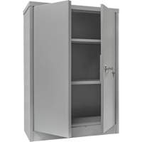 Counter-High Storage Cabinet, Steel, 2 Shelves, 42" H x 30" W x 15" D, Grey Northern Industrial Supply Inc.