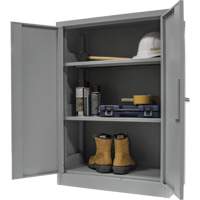 Counter-High Storage Cabinet, Steel, 2 Shelves, 42" H x 30" W x 15" D, Grey Northern Industrial Supply Inc.