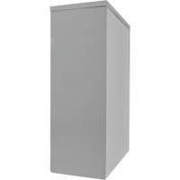 Counter-High Storage Cabinet, Steel, 2 Shelves, 42" H x 30" W x 15" D, Grey Northern Industrial Supply Inc.