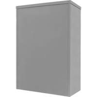 Counter-High Storage Cabinet, Steel, 2 Shelves, 42" H x 30" W x 15" D, Grey Northern Industrial Supply Inc.