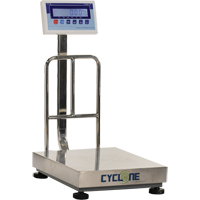 Balance &agrave; plateforme et d'&eacute;tabli Cyclone 150, Capacit&eacute; de 300 lb / 150 kg, 15-3/4" lo x 19-7/10" la Northern Industrial Supply Inc.