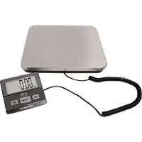 Digital Receiving Scale, 220 lbs. Cap., 1 lbs. Graduations Northern Industrial Supply Inc.