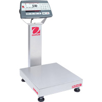 Balance de table multifonctionnelle 5000 Defender, Capacit&eacute; de 25  lb, 14" lo x 12" la Northern Industrial Supply Inc.