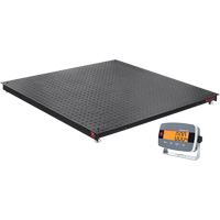 Balances de plancher Defender 3000, Capacit&eacute; de 5000 lb, 4' lo x 4' la Northern Industrial Supply Inc.