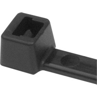 PA66 Cable Ties, 5-1/2" Long, 18 lbs. Tensile Strength, Black Northern Industrial Supply Inc.