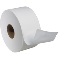 Advanced Soft Mini Toilet Paper, Jumbo Roll, 2 Ply, 751' Length, White Northern Industrial Supply Inc.