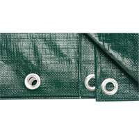 Tarp, Heavy-Duty, Green, 8' x 6' x 9 mils Northern Industrial Supply Inc.