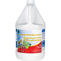 Glass & Multi-Surface Cleaners, 4 L, Jug Northern Industrial Supply Inc.