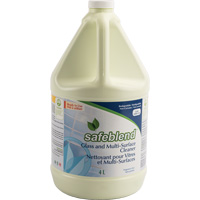 Glass & Multi-Surface Cleaner, 4 L, Jug Northern Industrial Supply Inc.