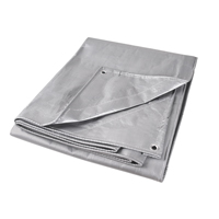 Tarp, Super Heavy-Duty, Silver, 10' x 8' x 12 mils Northern Industrial Supply Inc.