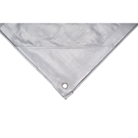 Tarp, Super Heavy-Duty, Silver, 10' x 8' x 12 mils Northern Industrial Supply Inc.