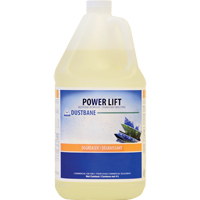 D&eacute;graissant industriel Power Lift, 4 L, Cruche Northern Industrial Supply Inc.