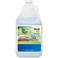 Nettoyant pour salle de bain Polar, 4 L, Cruche Northern Industrial Supply Inc.