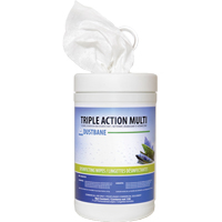 Triple Action Multi Disinfecting Wipes, 7" x 8", 120 Count Northern Industrial Supply Inc.