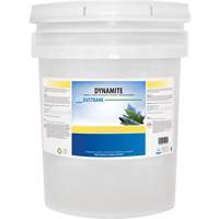 Dynamite Odourless Stripper & Degreaser, 20 L, Pail Northern Industrial Supply Inc.