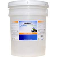 D&eacute;graissant industriel Power Lift, 20 L, Seau Northern Industrial Supply Inc.