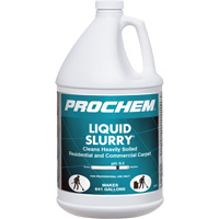 D&eacute;tergent pour tapis Prochem Liquid Slurry, 1 gal., Cruche Northern Industrial Supply Inc.