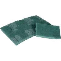 Scrubber Pad, 3" L x 4-1/2" W Northern Industrial Supply Inc.