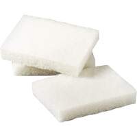 Scotch-Brite Light Duty Scrubbing Pad, 5" L x 3-1/2" W Northern Industrial Supply Inc.